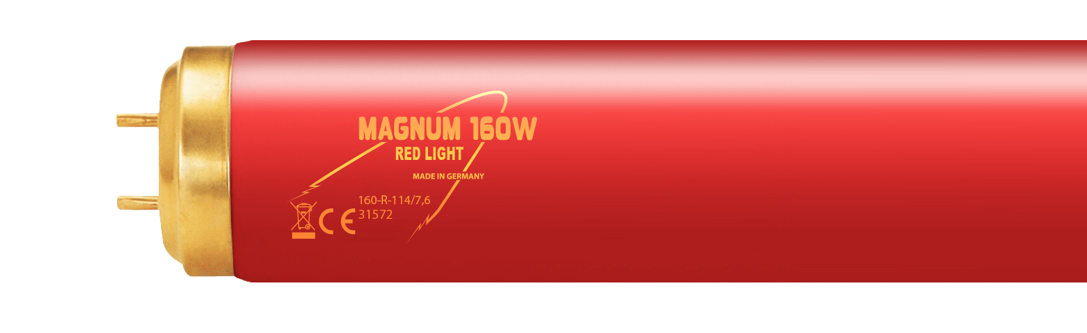 lampa do opalania magnum
